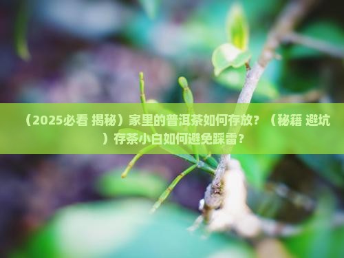 家里的普洱茶如何存放