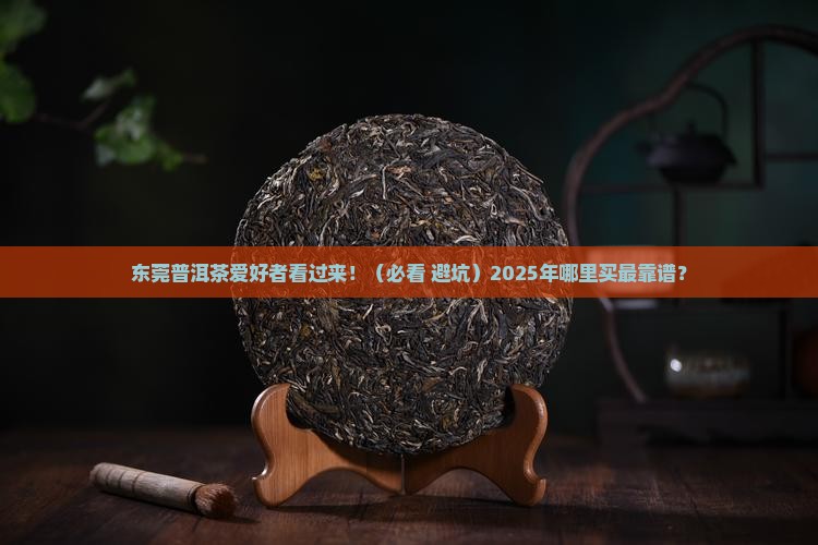 东莞普洱茶哪里好买一点