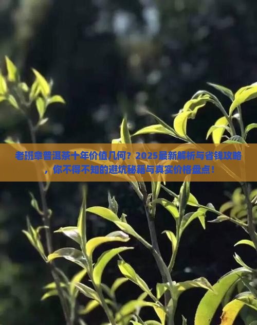 老班章普洱茶十年值多少钱