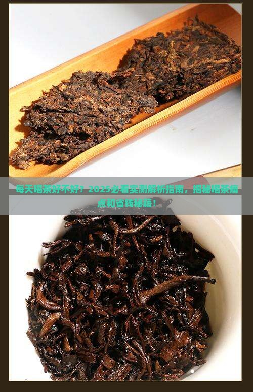每天喝茶好不好