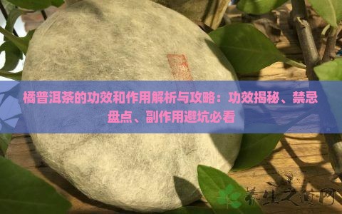 橘普洱茶的功效和作用 橘普洱茶的功效和作用