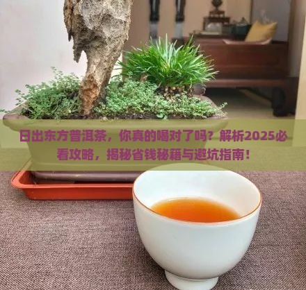 日出东方普洱茶