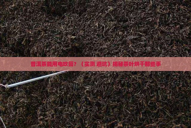 普洱茶能用电吹筒吗