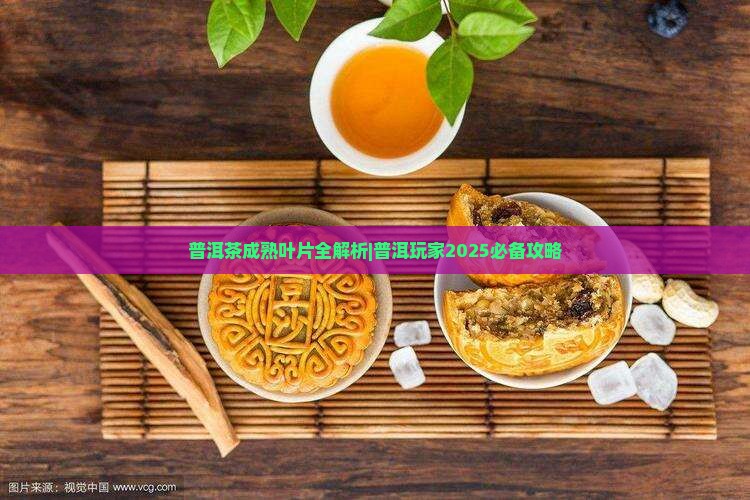 普洱茶成熟叶片