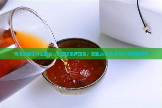 普洱茶属于什么茶性 普洱茶属于什么茶性