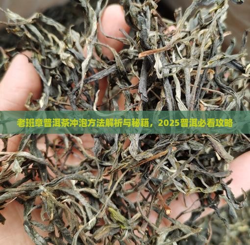 古茶老班章泡法
