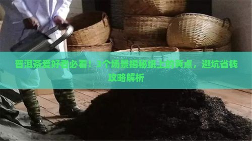 普洱茶纸上的黄点