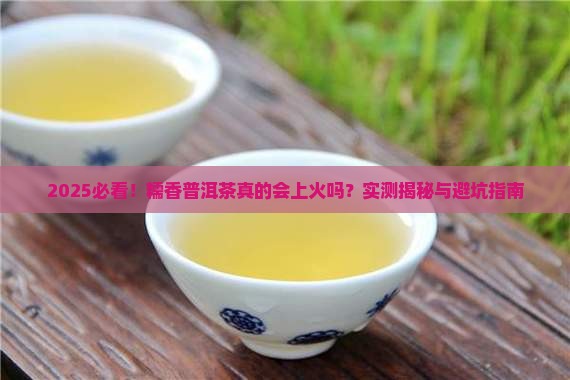 糯香普洱茶上火吗