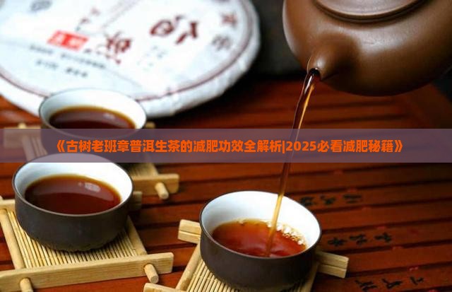 老班章普洱生茶减肥吗
