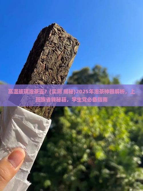 高温玻璃泡茶壶