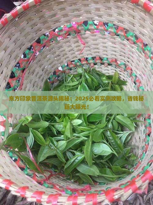 东方印象普洱茶源头
