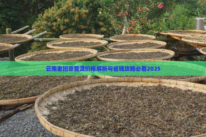 老班章村毛茶价格