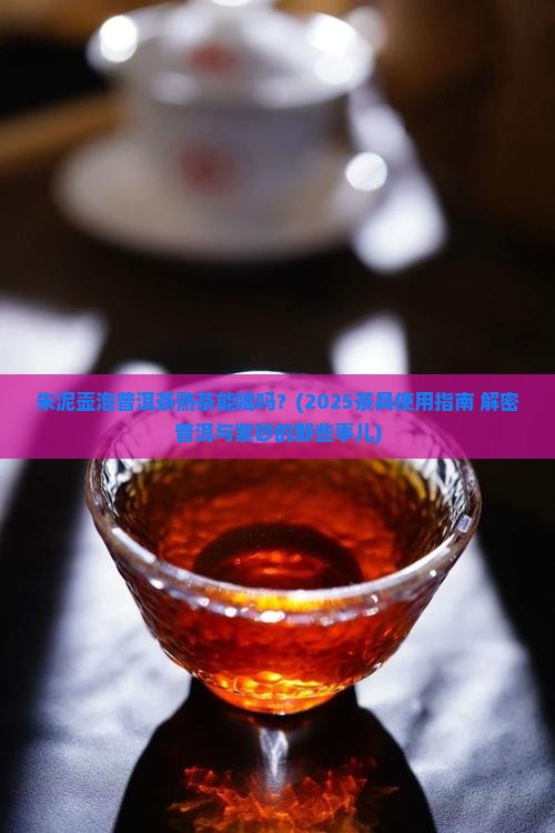 朱泥壶泡普洱茶熟茶能喝吗