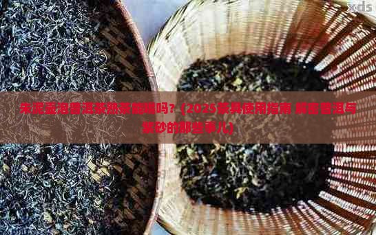 朱泥壶泡普洱茶熟茶能喝吗