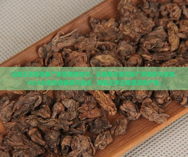 云南正宗普洱茶厂家是哪些地方