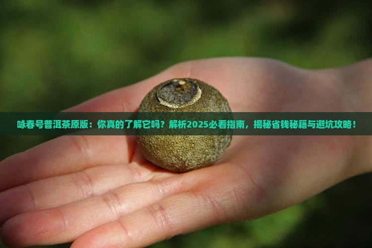 咏春号普洱茶原版