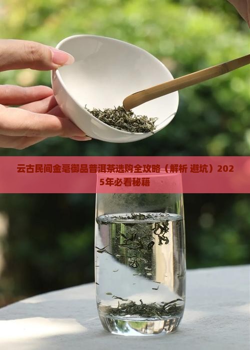 云古民间金毫御品普洱茶