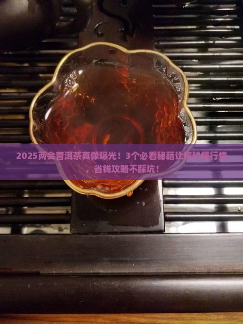 两会上讲普洱茶