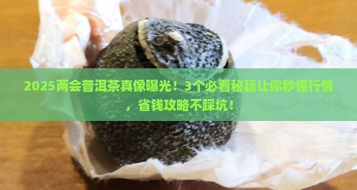 两会上讲普洱茶