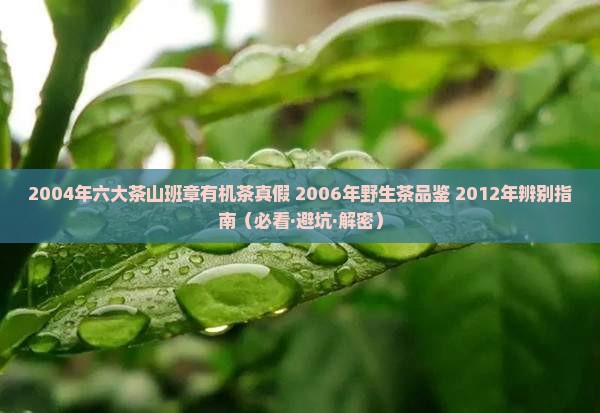 2004年六大茶山班章有机茶