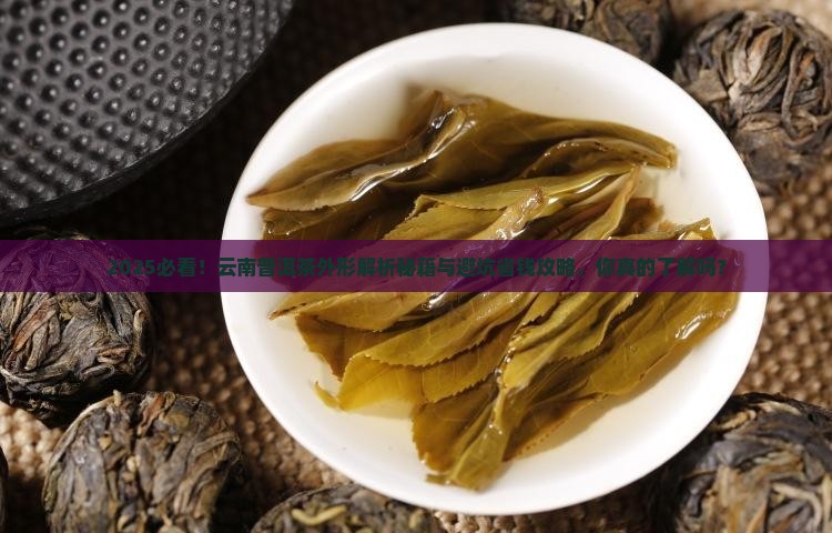 云南普洱茶的外形描述