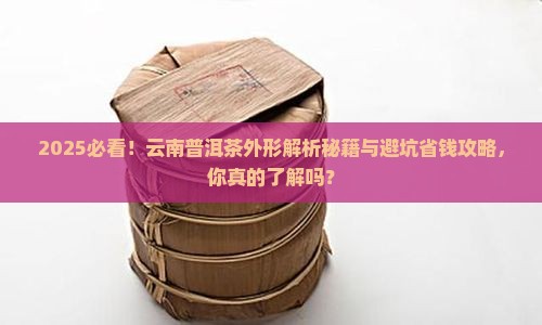 云南普洱茶的外形描述