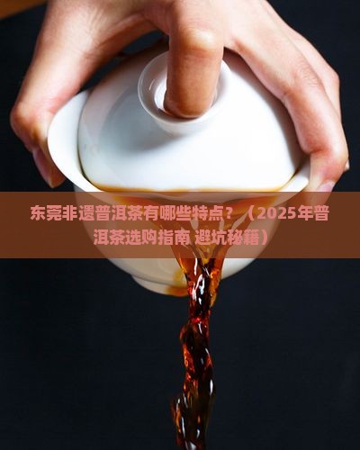 东莞非遗普洱茶有哪些特点