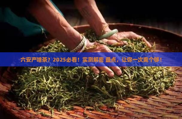 六安产什么茶叶