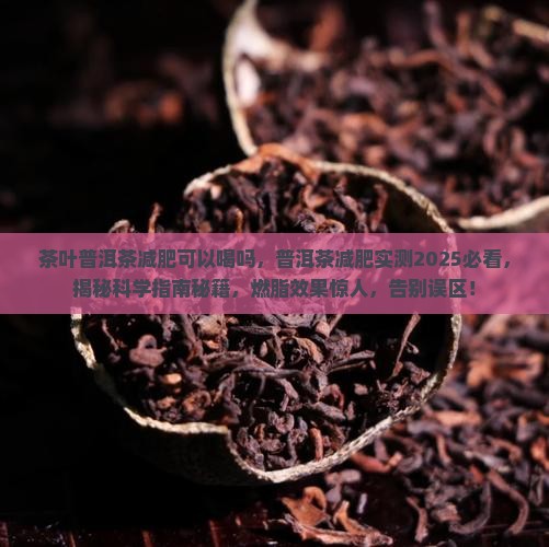 茶叶普洱茶减肥可以喝吗