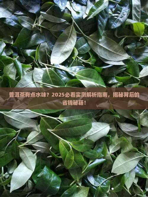 普洱茶为何有点水味