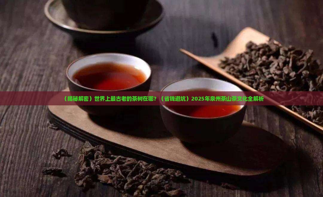 世界上最古老的茶树泉州茶山