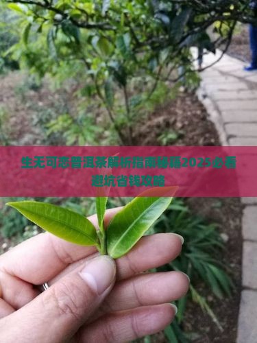 生无可恋普洱茶