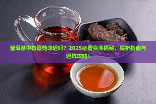 普洱茶中有蘑菇味道吗