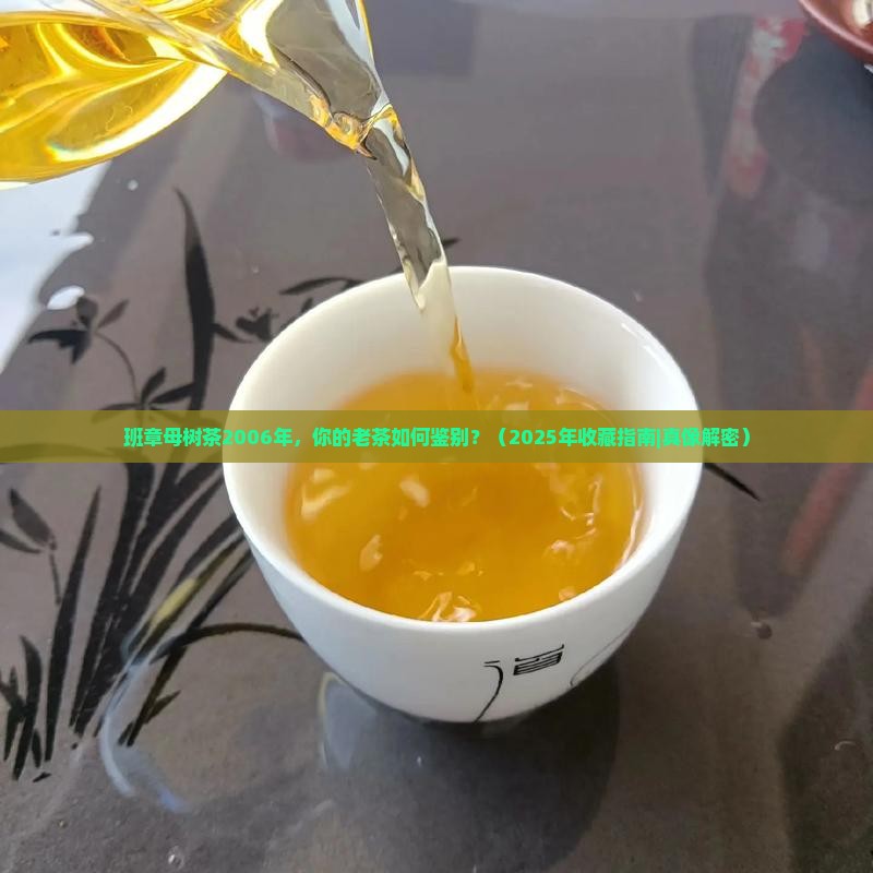 班章母树茶2006年