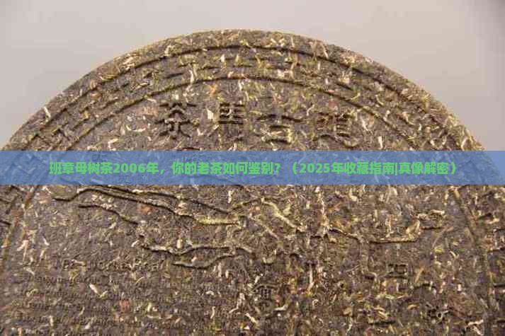 班章母树茶2006年
