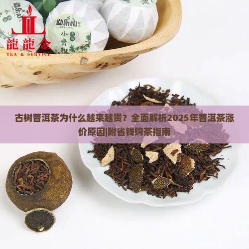 古树普洱茶为什么越来越贵