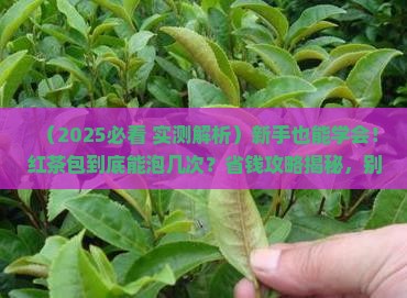 红茶如何泡红茶包可以泡几次