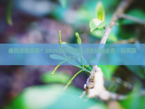 痛风病人喝茶好不好