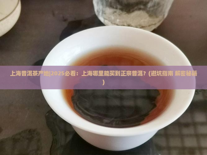 上海普洱茶产地