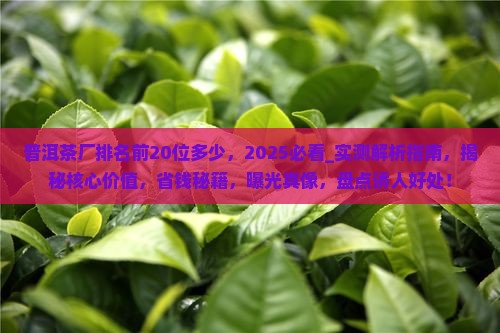 普洱茶厂排名前20位多少 普洱茶厂排名前20位多少