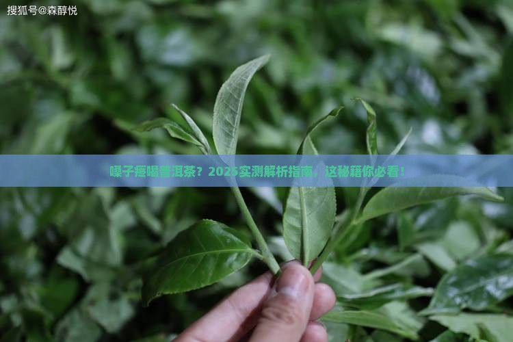 嗓子疼喝普洱茶可以吗
