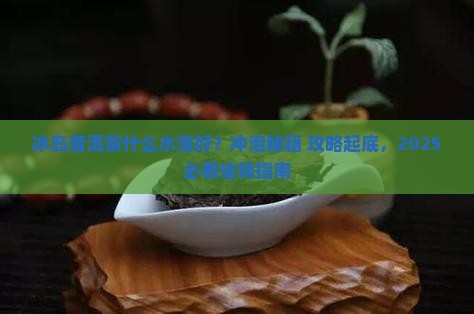 冰岛茶用什么水泡好