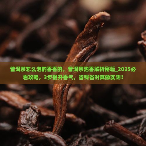 普洱茶怎么泡的香香的