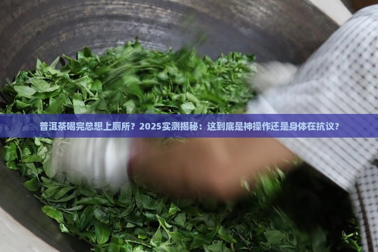 喝普洱茶上厕所多