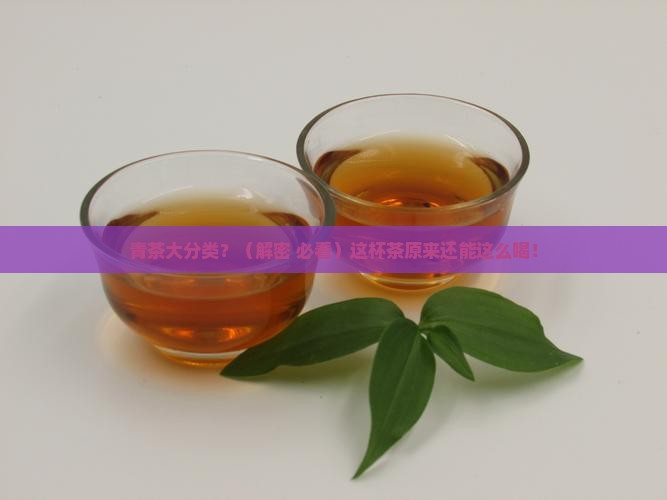 青茶的大致分类