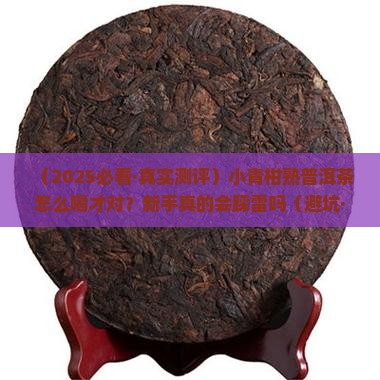 小青柑熟普洱茶怎么样喝