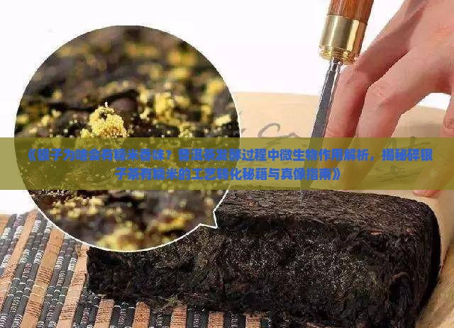 碎银子茶为啥有糯米香