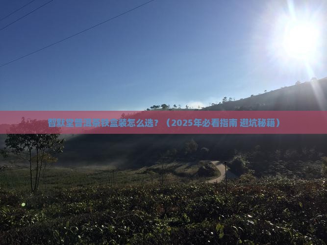 智默堂普洱茶铁盒装 智默堂普洱茶铁盒装