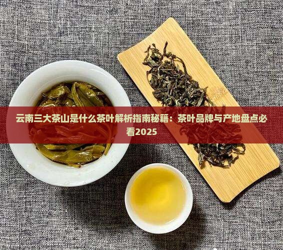 云南三大茶山是什么茶叶