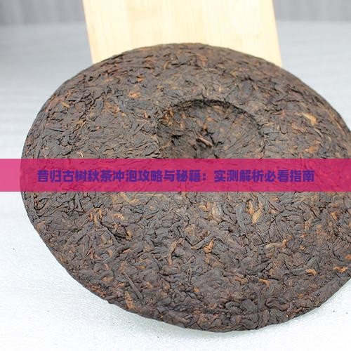 昔归古树秋茶怎么做